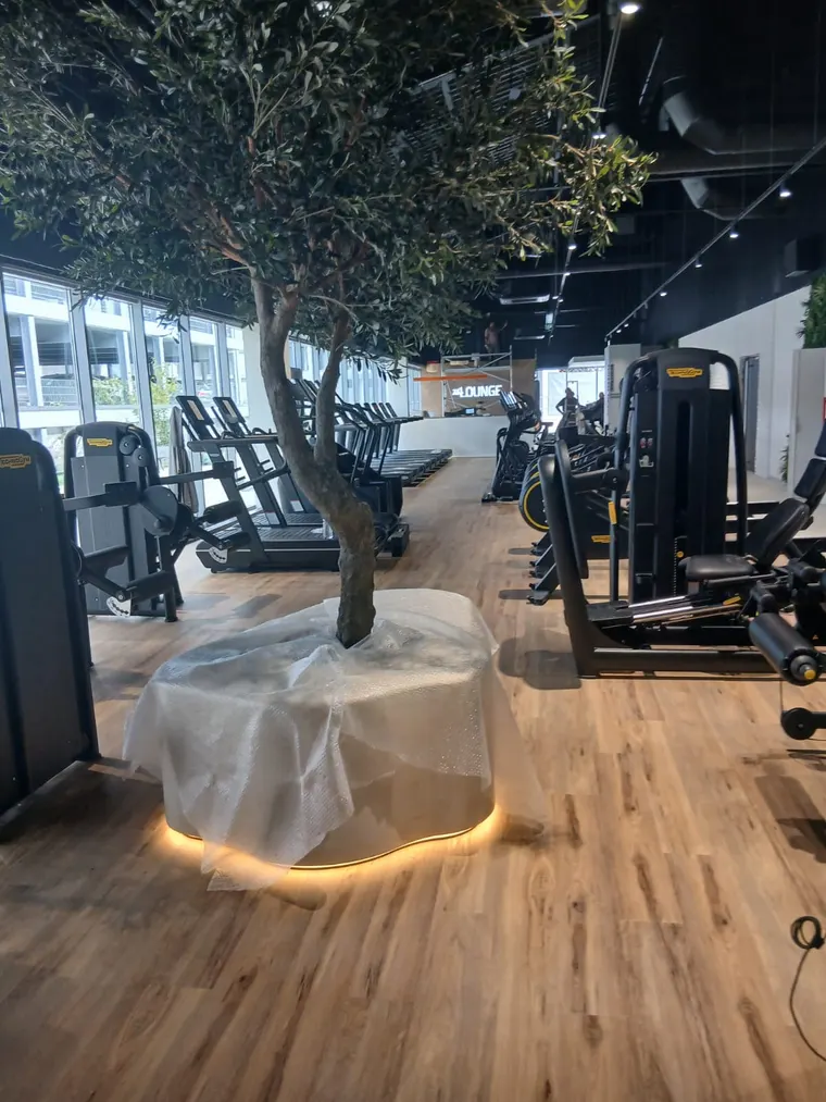 Salle de sport à Bègles, sols et équipements nettoyés par ERASIC